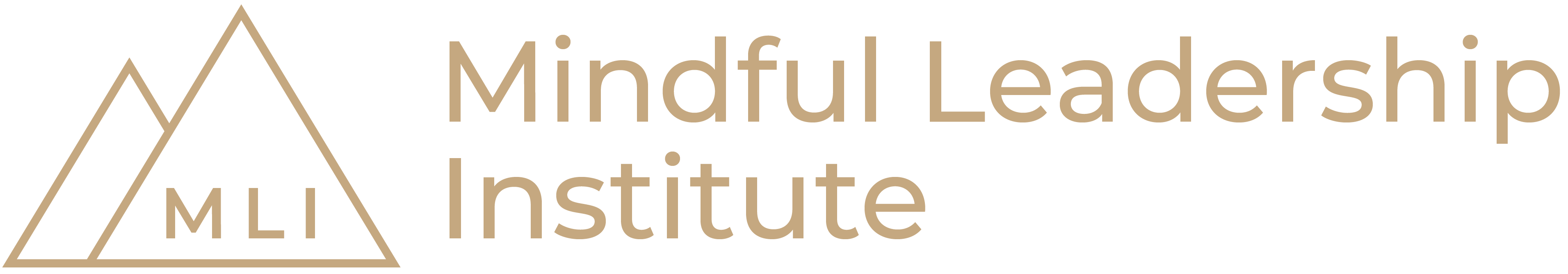 Mindful Leadership Institute